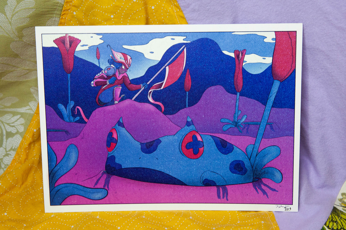 DISCOVERY LIMITED PRINT